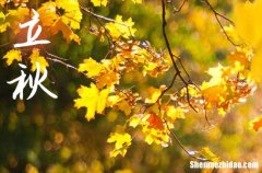 2024年立秋在哪一天 立秋三候是什么意思