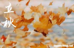 2024年立秋是幾點(diǎn)幾分幾秒鐘 立秋習(xí)俗