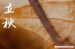 2024年立秋準(zhǔn)確時(shí)間幾點(diǎn)幾分