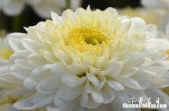 2024年6月骨灰下葬一覽表 2024年6月最佳下葬日期