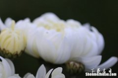 2024年2月骨灰下葬一覽表 2024年2月最佳下葬日期