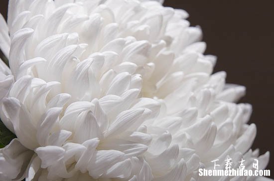 2024年哪天下葬好 2024年下葬安葬擇日大全