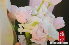 吉日查詢臘月廿七適合結(jié)婚登記嗎2023 適合結(jié)婚登記嗎