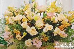 二零二四年正月初九能開張嗎 今日宜開張嗎