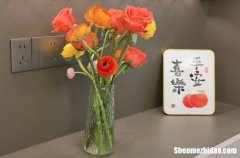 二月廿八入宅好嗎2024 農(nóng)歷二月最佳入宅日期查詢