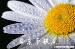 2024年精選母親節(jié)祝福問候語錦集58句母親節(jié)的最經(jīng)典金句