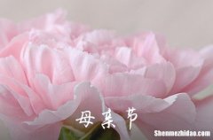 2024年表達母親節(jié)快樂的微信祝福語摘錄43條祝母親節(jié)快樂的微信祝福語