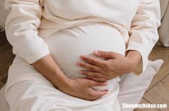 母親節(jié)賀卡祝福語(yǔ)2024母親節(jié)賀卡寄語(yǔ)