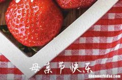 2024年感動(dòng)?jì)寢尩哪赣H節(jié)微信祝福語(yǔ)摘錄65句關(guān)于母親節(jié)的微信快樂(lè)祝福語(yǔ)