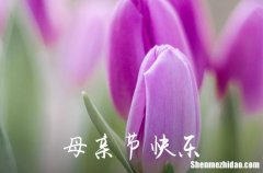 2024年優(yōu)美的母親節(jié)微信祝福語大合集53條