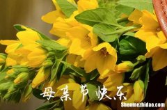 2024年的母親節(jié)微信祝福語關于母親節(jié)的微信祝福語