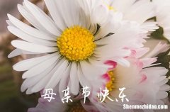 2024發(fā)給冤家的母親節(jié)短信祝愿語母親節(jié)賀詞句子精選