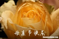 2024年母親節(jié)祝福QQ問候語(yǔ)51句母親節(jié)朋友圈文案