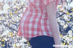 2024年母親節(jié)優(yōu)美的祝福語短信大匯總67句