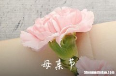 2024年精選祝母親節(jié)快樂的祝福語大集合56條