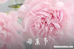 2024精選母親節(jié)優(yōu)美的祝福語24句母親節(jié)賀詞句子精選