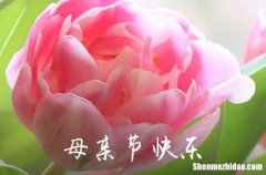 2022年精選感人母親節(jié)祝福語40句 母親節(jié)寄語唯美短