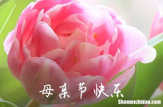 2022年精選感人母親節(jié)祝福語40句 母親節(jié)寄語唯美短