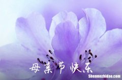 2022年母親節(jié)給媽媽的QQ祝福語(yǔ)25條母親節(jié)感恩母親的句子