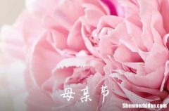 2022年母親節(jié)給媽媽的QQ祝福語合集34條 感恩母親經典短句