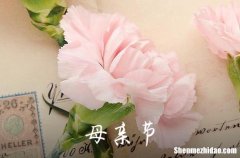 2024年母親節(jié)祝福微信問候語錦集67條母親節(jié)祝福語簡短