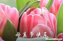 2022年精選母親節(jié)祝福問(wèn)候語(yǔ)27條母親節(jié)賀詞句子精選