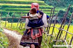 2024年母親節(jié)祝福QQ問候語集錦63條 母親節(jié)祝福QQ問候語