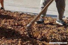 勞動(dòng)節(jié)蛋糕祝福語(yǔ)2024慶五一勞動(dòng)節(jié)蛋糕祝福語(yǔ)