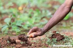 2024勞動節(jié)問候語大全簡短2024勞動節(jié)問候微信