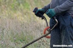 勞動節(jié)祝福老師微信2024勞動節(jié)怎么給老師發(fā)祝福短信