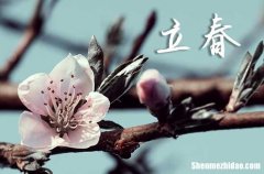 2024年立春是五九尾還是六九頭