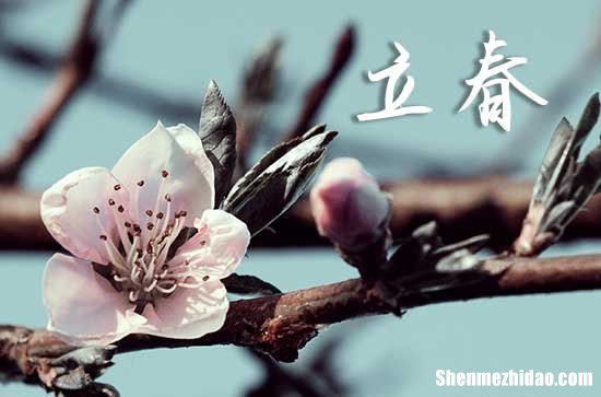 2024年立春是五九尾還是六九頭