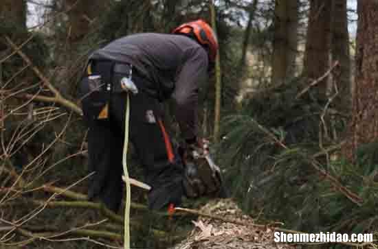 勞動節(jié)客戶祝福微信2024五一勞動節(jié)給客戶的短信祝福語