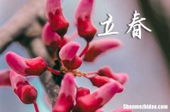 2024年立春是什么時(shí)候幾點(diǎn)幾分