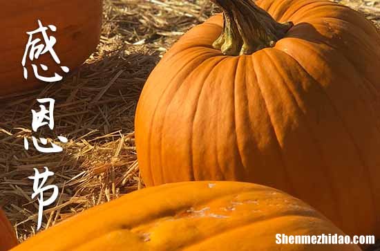 2024年感恩節(jié)是哪一天