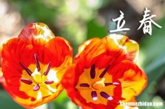 2024年早立春還是晚立春,立春早晚有什么說法嗎