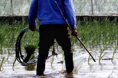 勞動節(jié)英語祝福語2024勞動節(jié)英文祝福微信文案