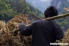 五一勞動節(jié)企業(yè)海報祝福語2024五一勞動節(jié)公司送給員工的祝福語