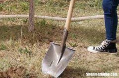 2024五一勞動節(jié)慰問微信祝福語五一勞動節(jié)微信問候語經典暖心