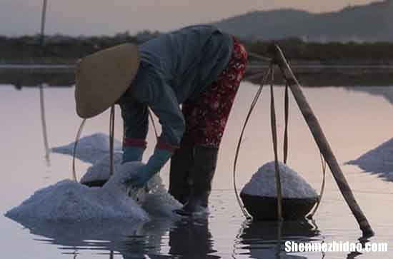 五一勞動(dòng)節(jié)對(duì)家長的祝福語2024五一勞動(dòng)節(jié)給長輩祝福語簡短