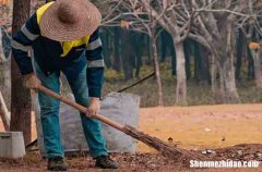 五一勞動節(jié)對老師的祝福語英語2024五一勞動節(jié)英語祝福語用英語怎么說