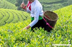 勞動節(jié)祝福語大全健康2024五一勞動節(jié)微信問候語經(jīng)典暖心