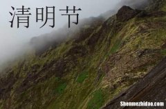 青團放第二天還能吃嗎 2024青團放涼變硬怎么解決