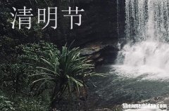 青團可以用菠菜汁和面嗎 2024青團的來歷和寓意