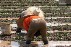 勞動節(jié)后祝福微信2024勞動節(jié)后上班祝福語大全