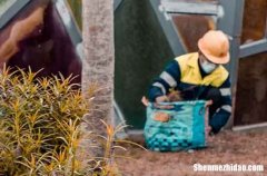 勞動節(jié)商務(wù)微信2024勞動節(jié)商務(wù)祝福短信