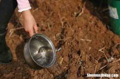 2024勞動(dòng)節(jié)賀卡經(jīng)典祝福語(yǔ)大全簡(jiǎn)短勞動(dòng)節(jié)的賀卡祝福語(yǔ)