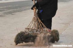 勞動節(jié)后微信問候祝福語2024勞動節(jié)問候語大全簡短