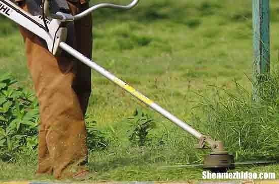 勞動節(jié)祝福語簡短10字2024勞動節(jié)送給勞動者的祝福語