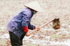 2024勞動節(jié)祝福語簡短10字51勞動節(jié)祝福語句句暖心短信大全